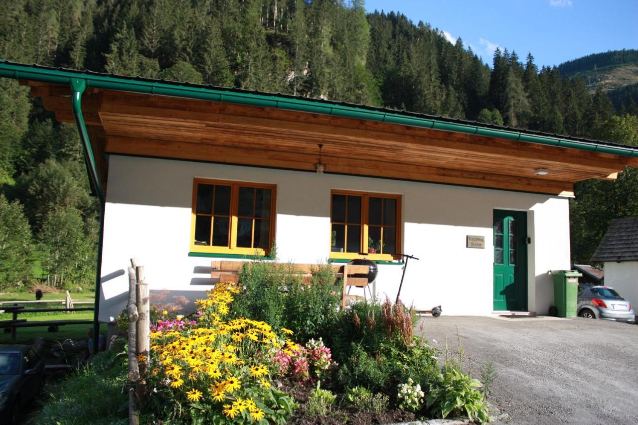 Radmer Holiday home