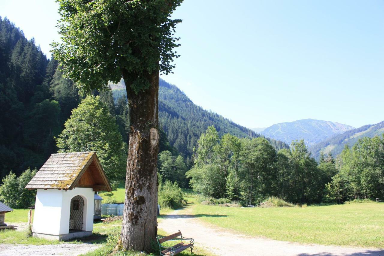 Radmer Vakantiehuis Radmer an der Hasel